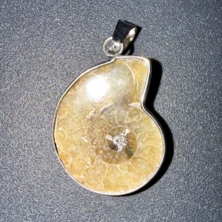 PENDENTIF ACIER - AMMONITE