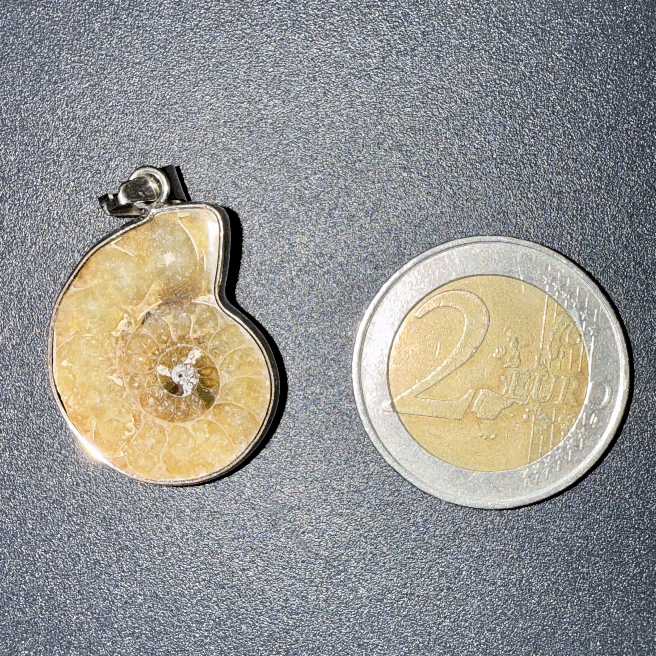 Pendentif Ammonite sur acier – ancrage & vitalité – Image 2