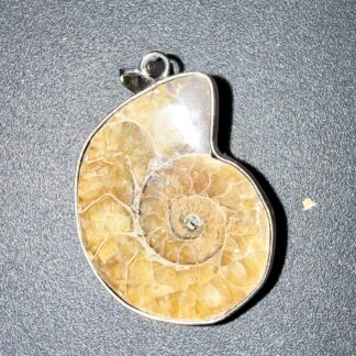 PENDENTIF ACIER - AMMONITE
