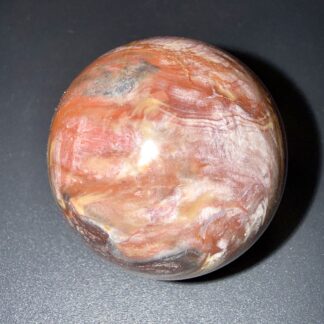 Sphère en bois fossilisé/pétrifié – 55 mm – 220 g