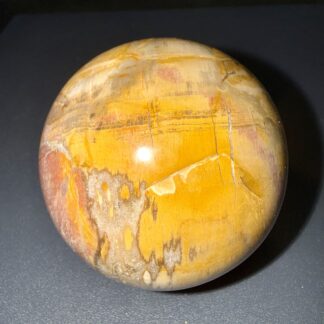 Sphère en bois fossilisé/pétrifié naturelle – 50 mm – 300 g