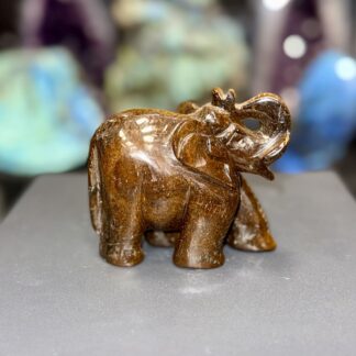 Elephant en oeil de tigre polie – 460 g – 9 x 10 cm