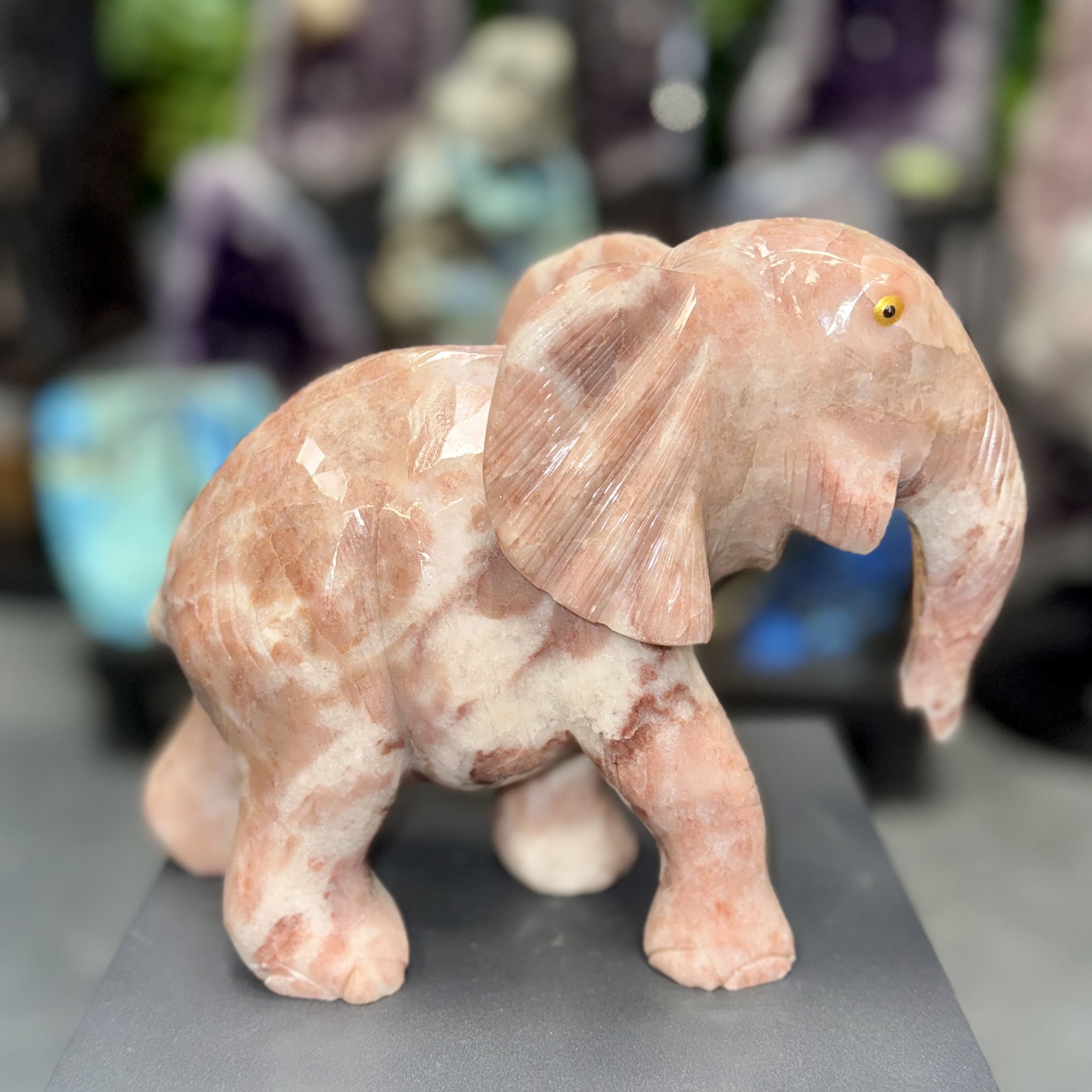 Elephant d’exception en dolomite polie – 4.3kg – 20 x 25 cm – Image 3