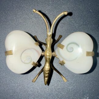 Papillon en oeil de Ste-Lucie polie – 50/80 g – 6/10 cm