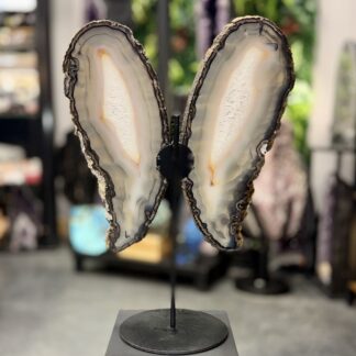 Paire d’agate de collection sur socle – pièce unique