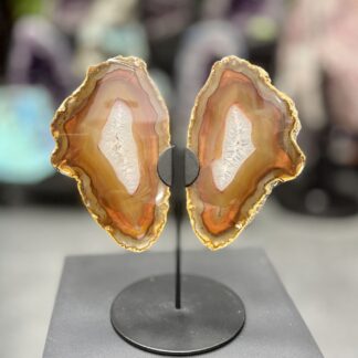 Paire d’agate de collection sur socle – pièce unique