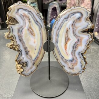Ailes d’agate de collection sur socle – pièce unique